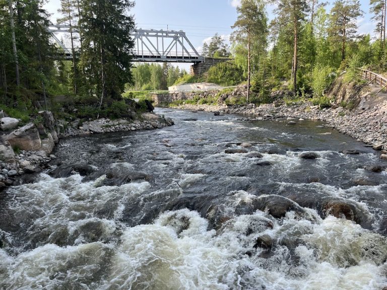 Kesän makuja ja paikallisia lahjaideoita Hiitolanjoen Koskikahvilasta